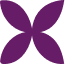 Purple Flower