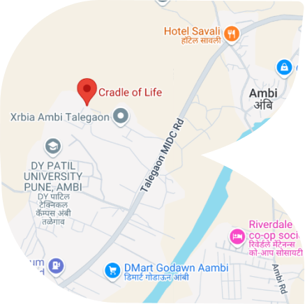 Cradle Of Life Location Map